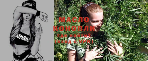 амф Надым