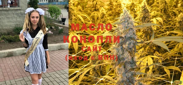 амф Надым