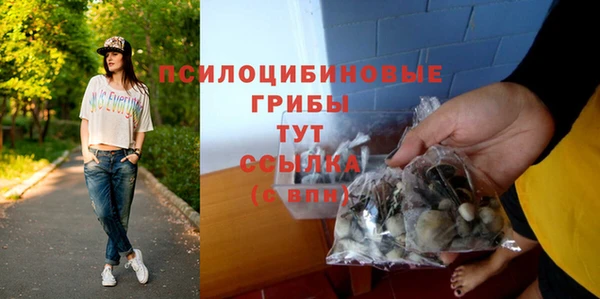 амф Надым