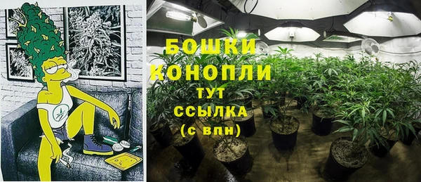 СК Орехово-Зуево