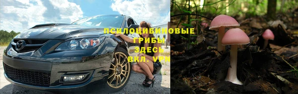 амф Надым
